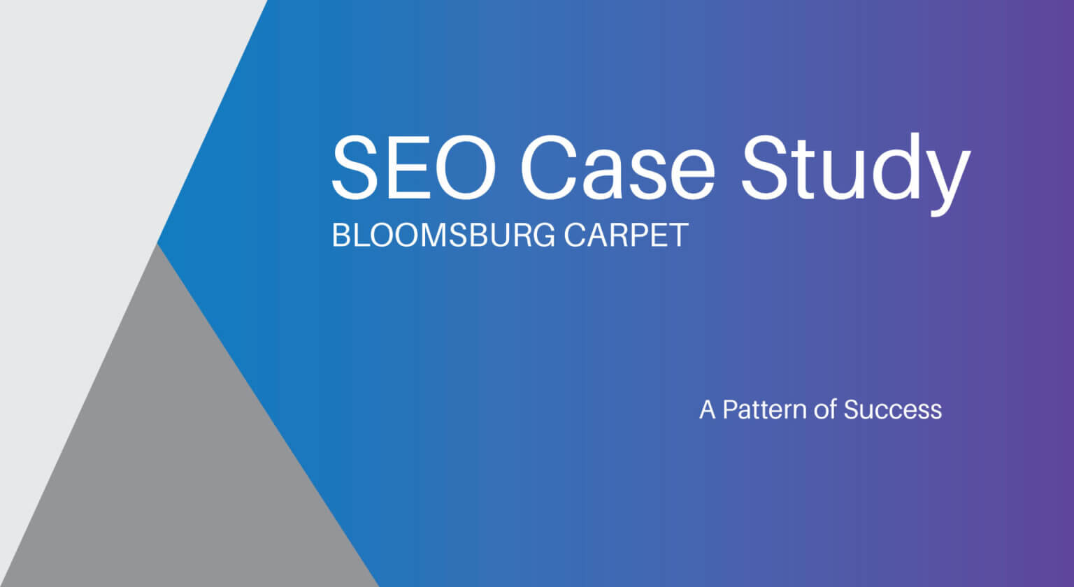 SEO-Case-Study-Graphic---Blog-2